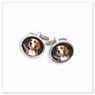 Beagle E499