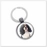 Cavalier King Charles E510