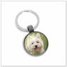 West Highland Terrier E551