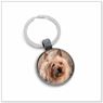 Wheaton Terrier E552