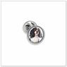 Cavalier King Charles E510