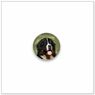 Bernese Mountain Dog E502