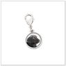 Black Labrador E504